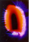 Foto Kirlian de un Nagual